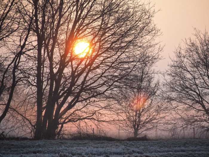 sunrise winterlich aufgehnde sonne hinter baum